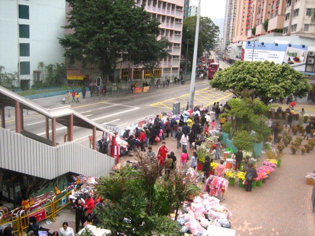 牛頭角的小花市，2009的農曆新年